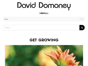 'daviddomoney.com' screenshot