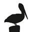 pelicansroost.com