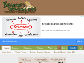'beardeddragon.org' screenshot