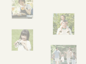 ntve.co.jp
