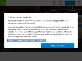 'sebgroup.com' screenshot