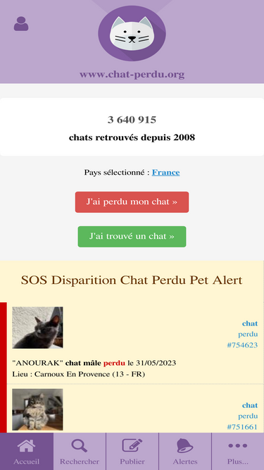 Chat Perdu Org Traffic Ranking Marketing Analytics Similarweb