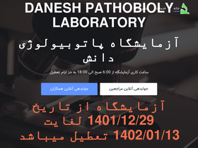 'danesh-lab.com' screenshot