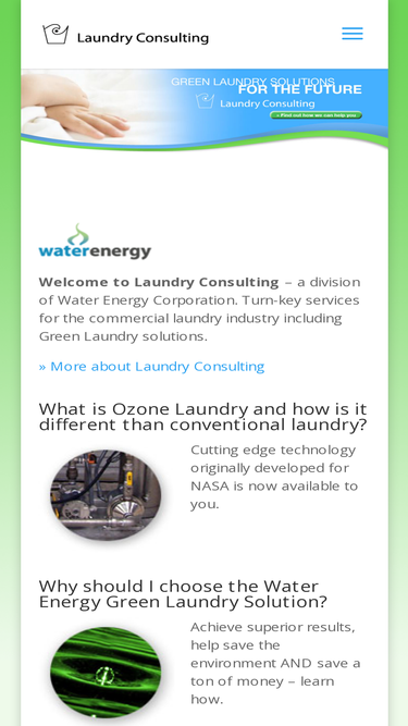 laundryconsulting.com