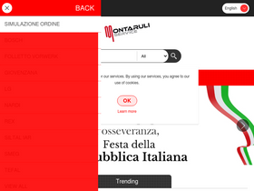 'mlservice.it' screenshot