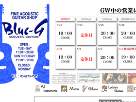 'blue-g.com' screenshot