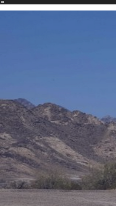 renewablenergy-world.com