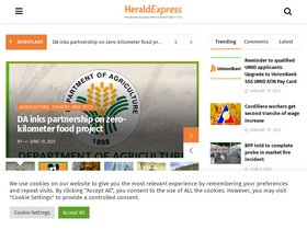 'baguioheraldexpressonline.com' screenshot