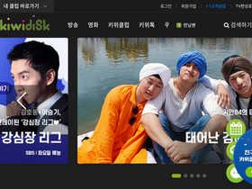 'kiwidisk.com' screenshot