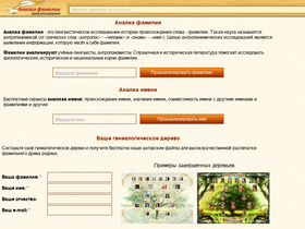 'analizfamilii.ru' screenshot