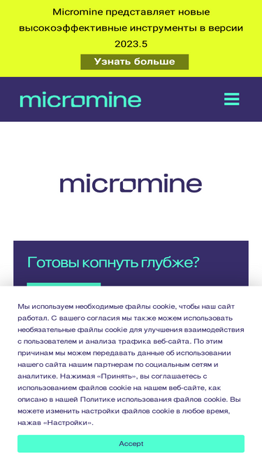 micromine.ru