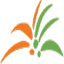palmpointbehavioral.com