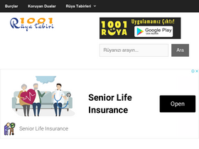 '1001ruyatabiri.com' screenshot