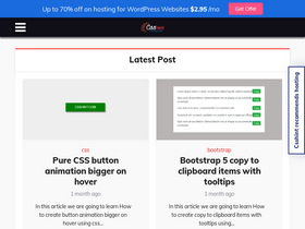 'csshint.com' screenshot