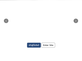 'audit.go.th' screenshot