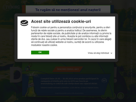 'tuborg.ro' screenshot