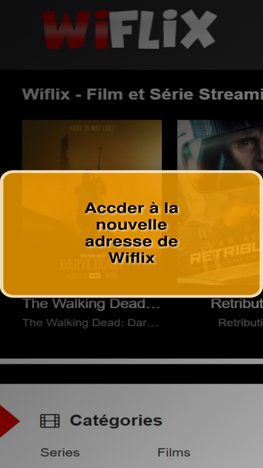 wiflix-catalogue.net