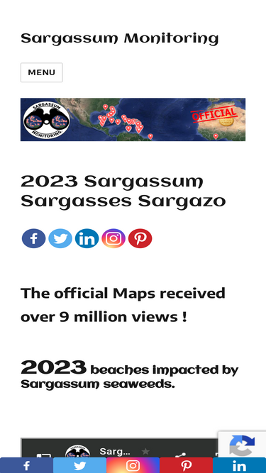 sargassummonitoring.com