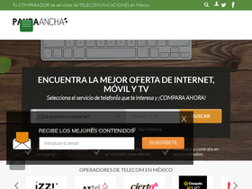 'pandaancha.mx' screenshot