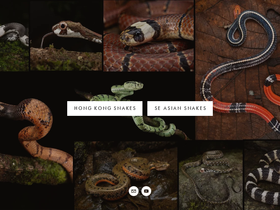 hongkongsnakeid.com
