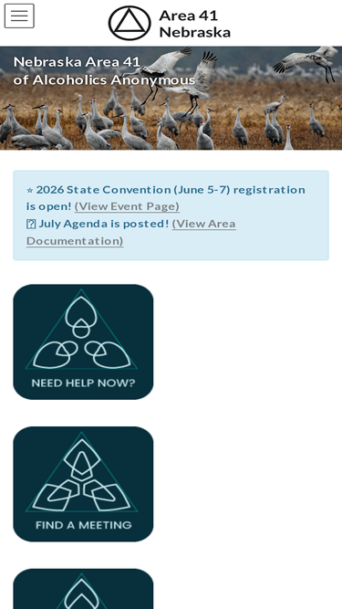 area41.org