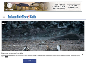 'jhnewsandguide.com' screenshot