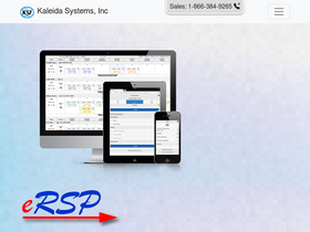 'ersp.biz' screenshot