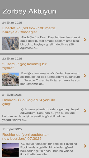 zorbeyaktuyun.blogspot.com