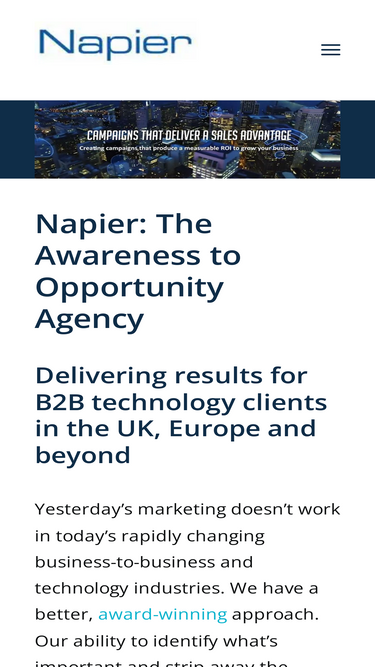 napierb2b.com