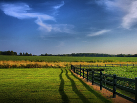 'cartographic.info' screenshot