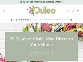 puleointl.com homepage screenshot