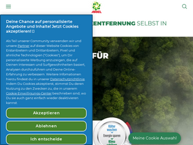 'ariel.de' screenshot