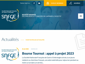 'snfge.org' screenshot