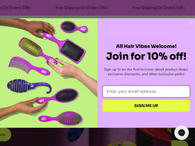 'wetbrush.com' screenshot