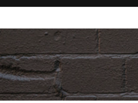 bagsbybenson.com homepage screenshot