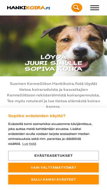 hankikoira.fi