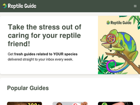 'reptile.guide' screenshot