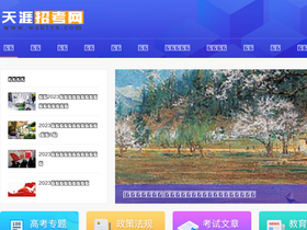 'wzktys.com' screenshot