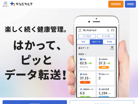 'karadakarute.jp' screenshot