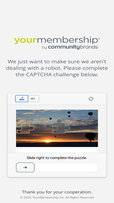 aav.org
