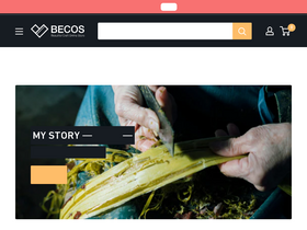 'thebecos.com' screenshot