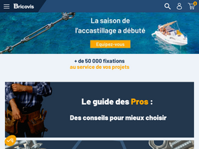 'bricovis.fr' screenshot