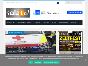 'salzi.at' screenshot