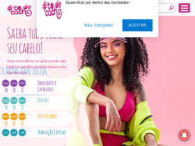 'todecacho.com.br' screenshot