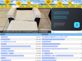 'houstonbbs.com' screenshot