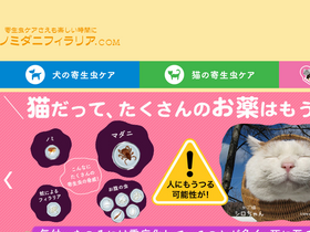 'n-d-f.com' screenshot