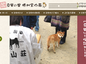 'e-nishiyama.com' screenshot