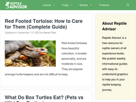 'reptileadvisor.com' screenshot