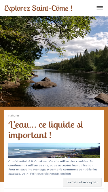 bloguesaintcome.wordpress.com