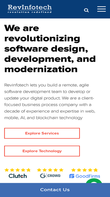 revinfotech.com